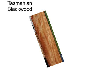 Tasmanian Blackwood