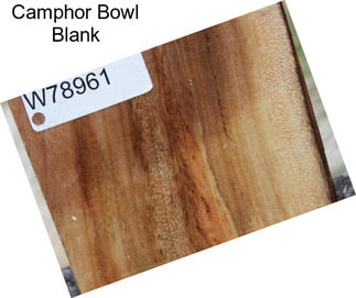 Camphor Bowl Blank