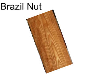 Brazil Nut