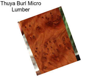 Thuya Burl Micro Lumber