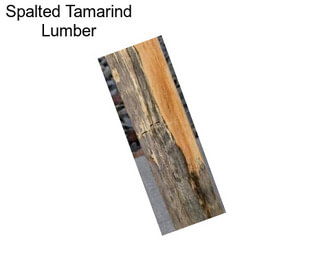 Spalted Tamarind Lumber