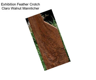 Exhibition Feather Crotch Claro Walnut Mannlicher