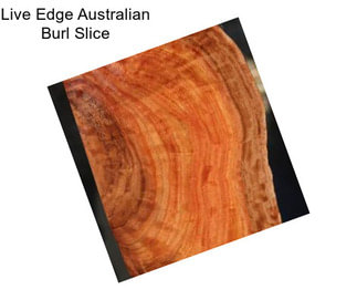 Live Edge Australian Burl Slice