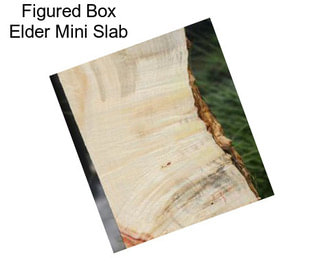 Figured Box Elder Mini Slab