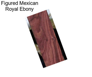 Figured Mexican Royal Ebony