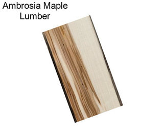 Ambrosia Maple Lumber