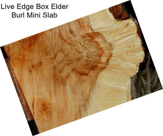 Live Edge Box Elder Burl Mini Slab