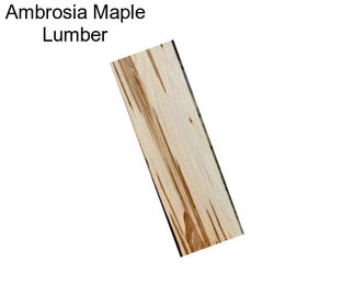 Ambrosia Maple Lumber