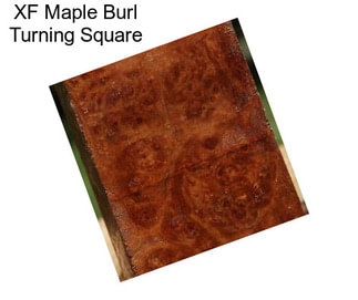 XF Maple Burl Turning Square