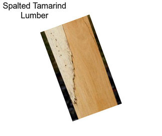 Spalted Tamarind Lumber