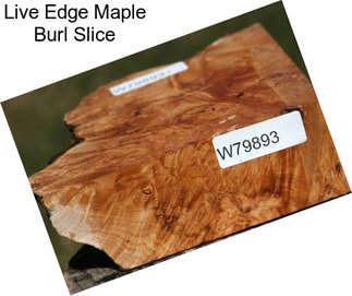 Live Edge Maple Burl Slice