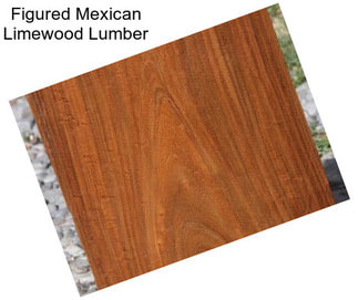 Figured Mexican Limewood Lumber