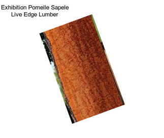 Exhibition Pomelle Sapele Live Edge Lumber