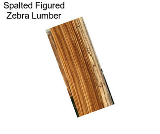 Spalted Figured Zebra Lumber