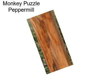 Monkey Puzzle Peppermill