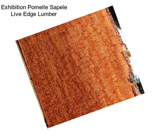 Exhibition Pomelle Sapele Live Edge Lumber