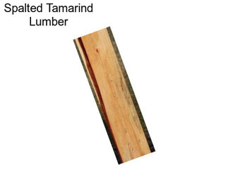 Spalted Tamarind Lumber