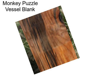 Monkey Puzzle Vessel Blank