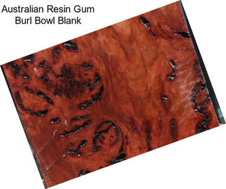 Australian Resin Gum Burl Bowl Blank