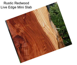 Rustic Redwood Live Edge Mini Slab