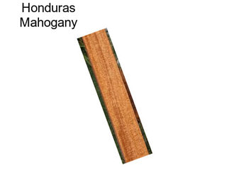 Honduras Mahogany