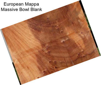 European Mappa Massive Bowl Blank