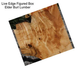 Live Edge Figured Box Elder Burl Lumber