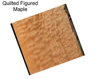 Quilted Figured Maple