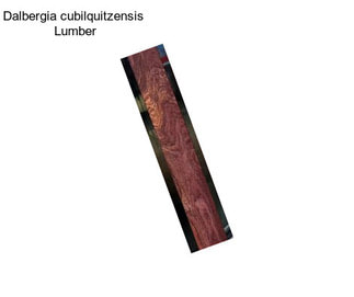 Dalbergia cubilquitzensis  Lumber