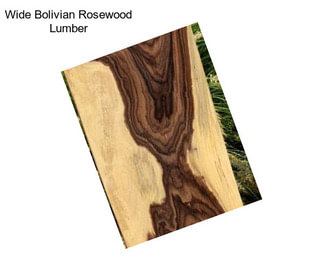 Wide Bolivian Rosewood Lumber