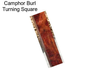Camphor Burl Turning Square