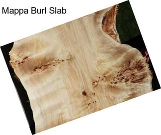 Mappa Burl Slab