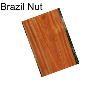 Brazil Nut