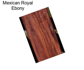 Mexican Royal Ebony