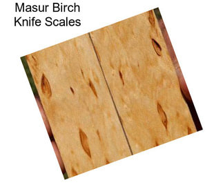 Masur Birch Knife Scales