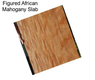 Figured African Mahogany Slab