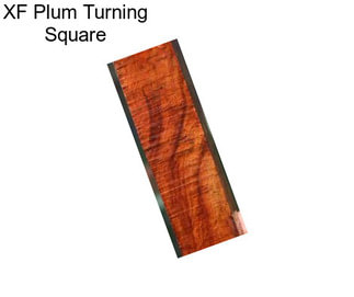 XF Plum Turning Square