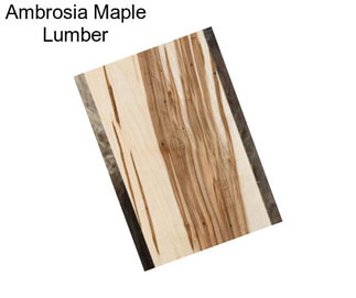 Ambrosia Maple Lumber