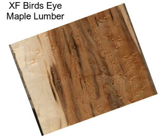 XF Birds Eye Maple Lumber