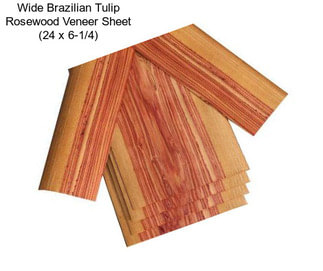 Wide Brazilian Tulip Rosewood Veneer Sheet (24\