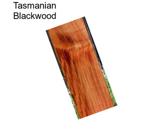 Tasmanian Blackwood