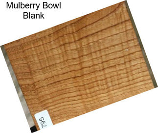 Mulberry Bowl Blank