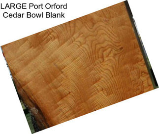 LARGE Port Orford Cedar Bowl Blank