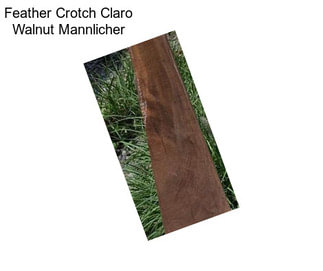 Feather Crotch Claro Walnut Mannlicher