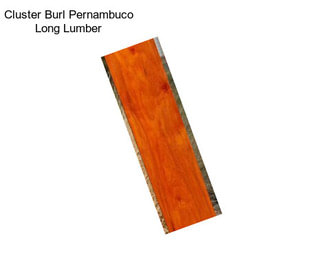 Cluster Burl Pernambuco Long Lumber