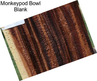 Monkeypod Bowl Blank