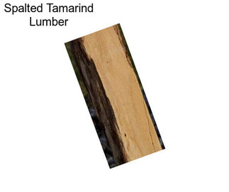 Spalted Tamarind Lumber