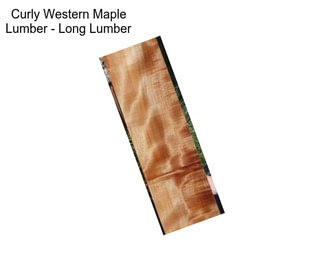 Curly Western Maple Lumber - Long Lumber