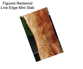 Figured Redwood Live Edge Mini Slab