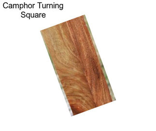 Camphor Turning Square